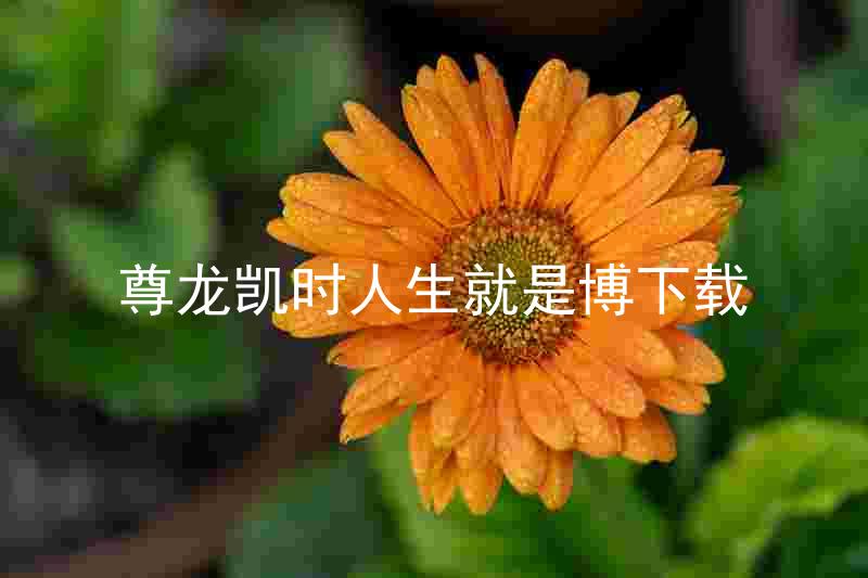 尊龙凯时人生就是博下载