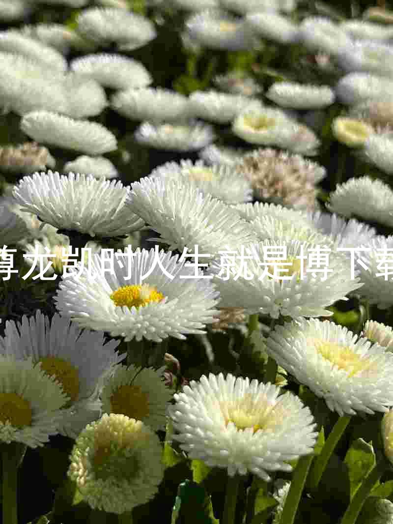 尊龙凯时人生就是博下载