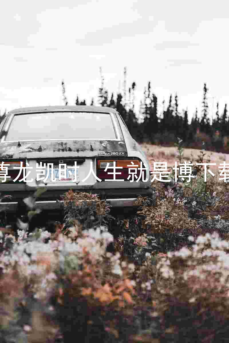 尊龙凯时人生就是博下载