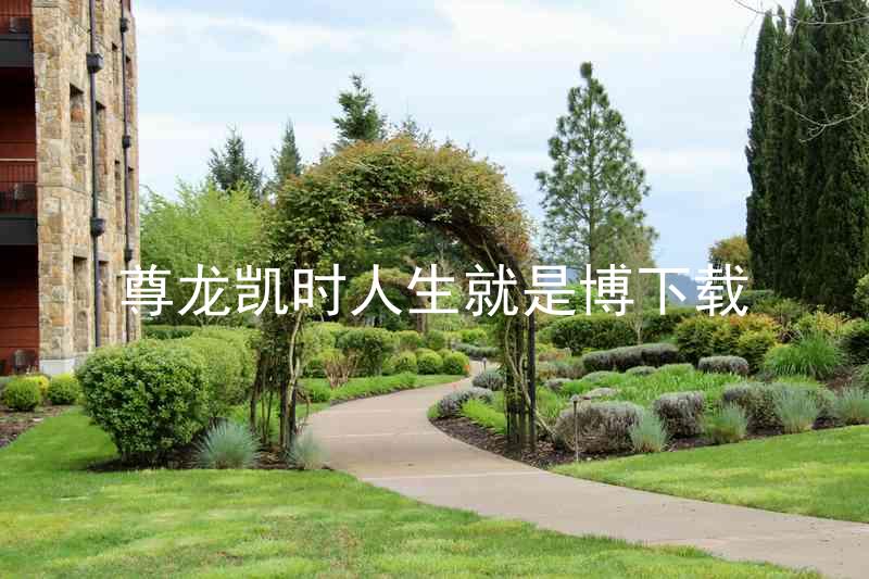 尊龙凯时人生就是博下载