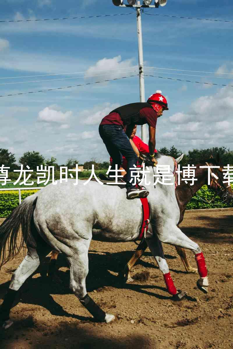 尊龙凯时人生就是博下载