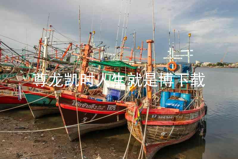 尊龙凯时人生就是博下载